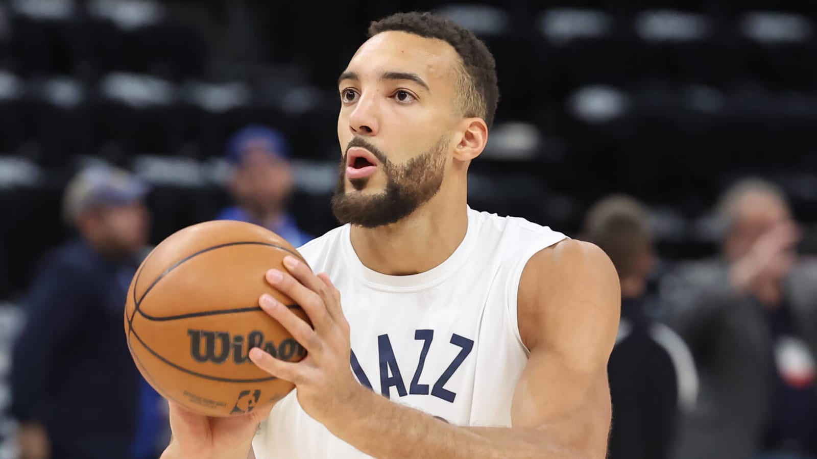 Rudy Gobert Wallpapers