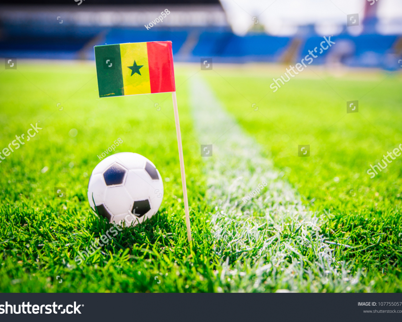Senegal National Football Team Wallpapers