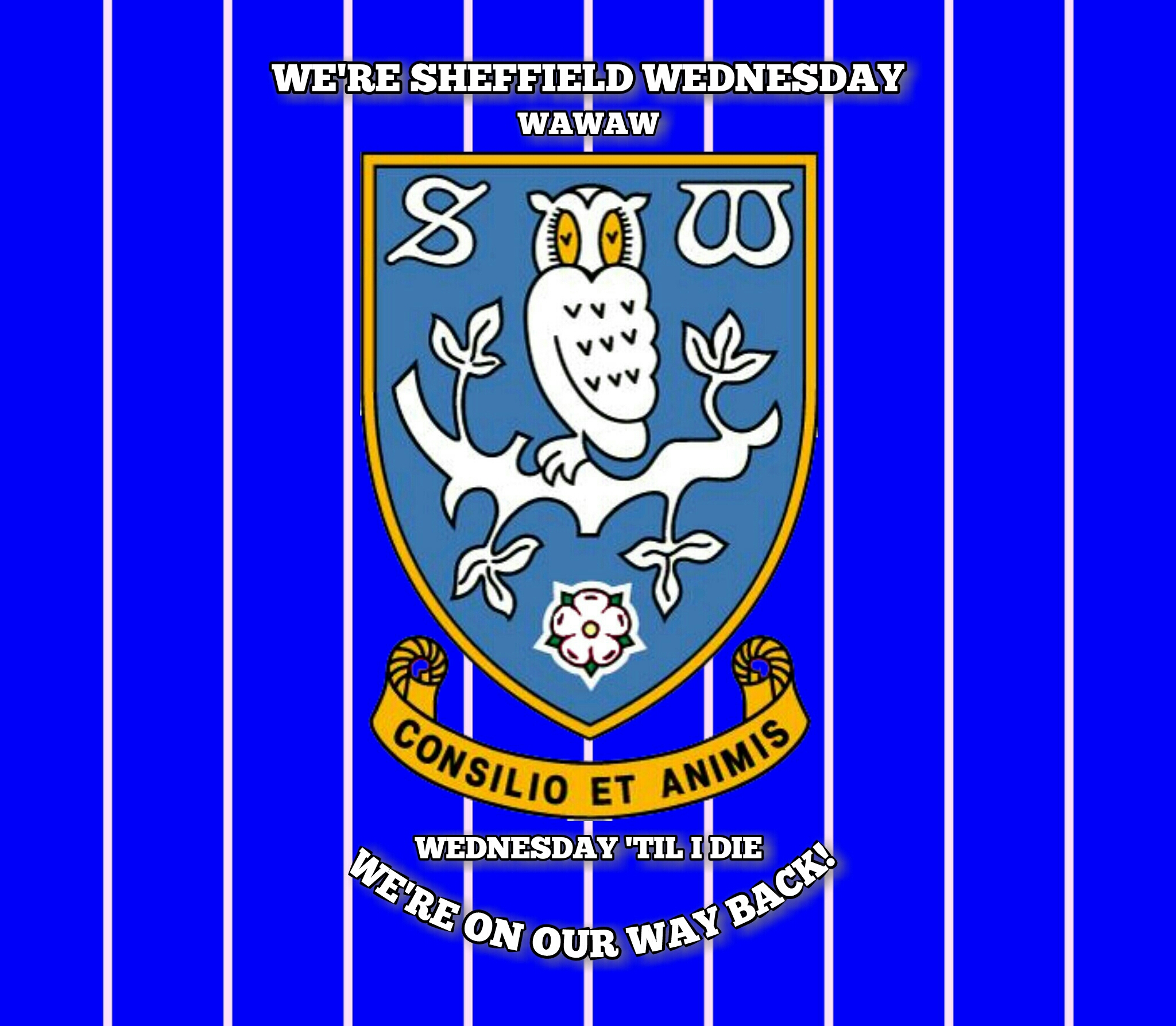 Sheffield Wednesday F.C. Wallpapers