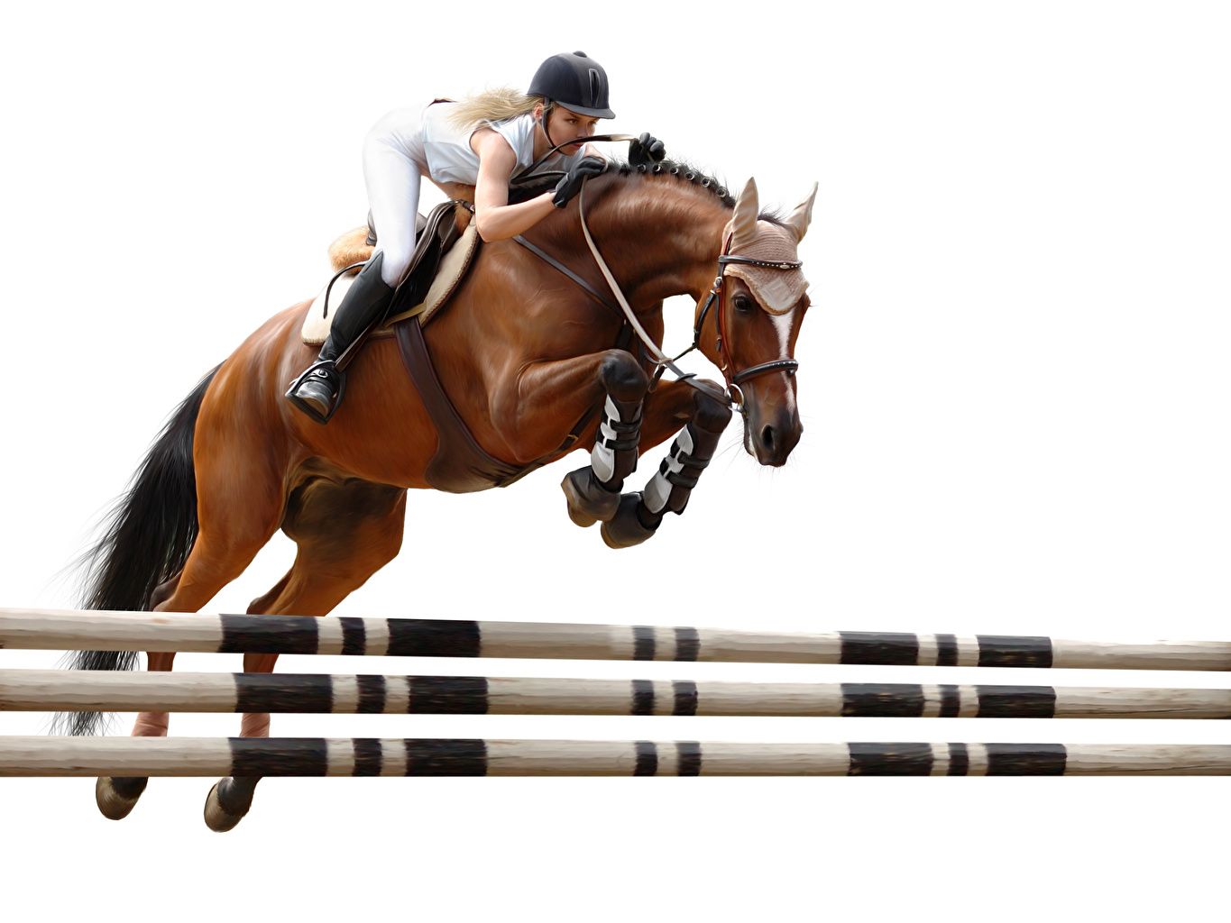 Show Jumping Wallpapers