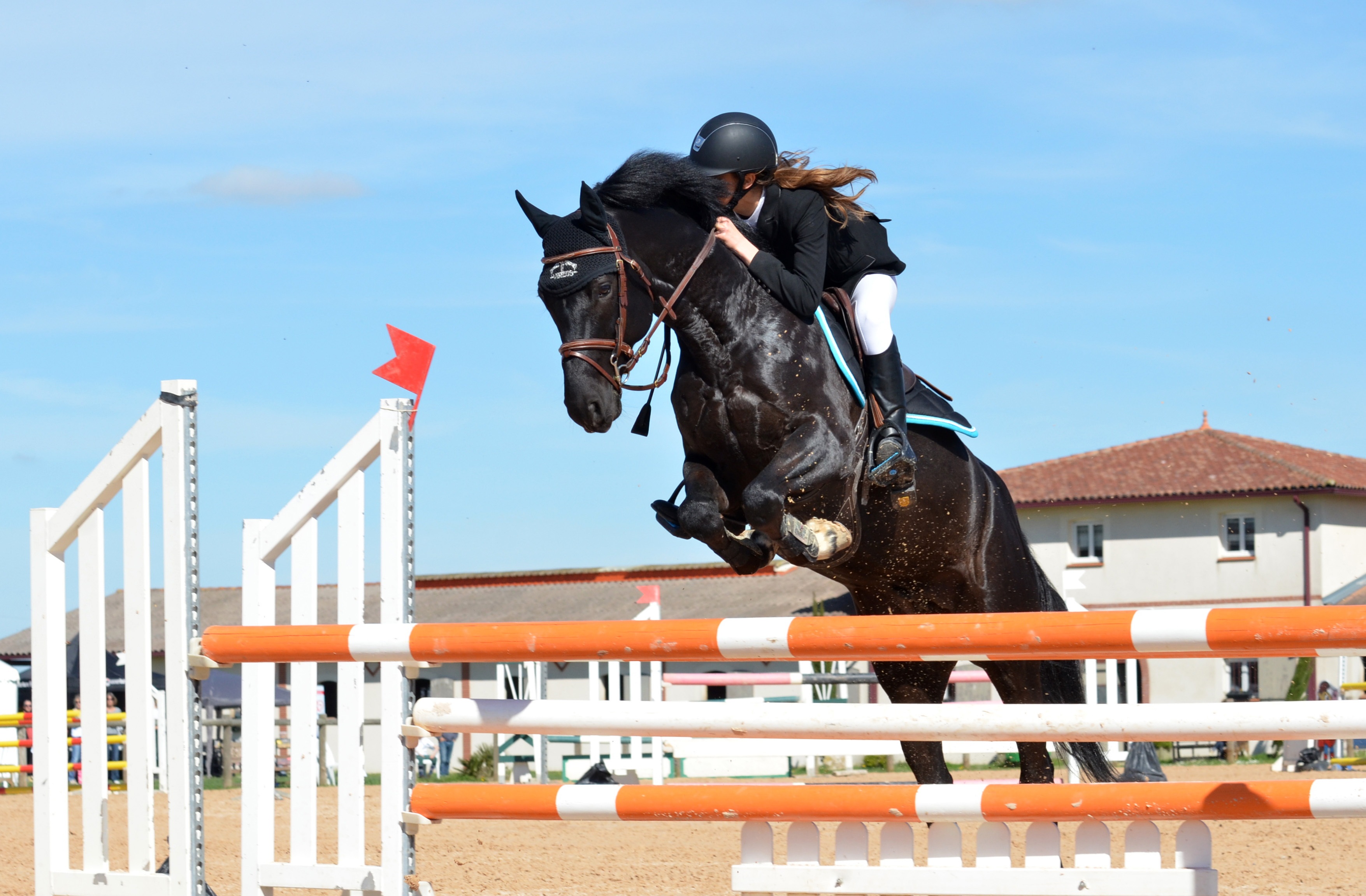 Show Jumping Wallpapers