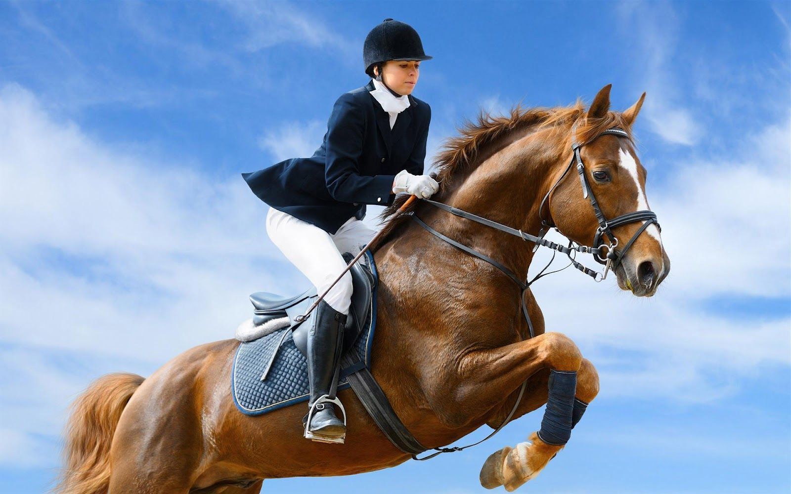 Show Jumping Wallpapers