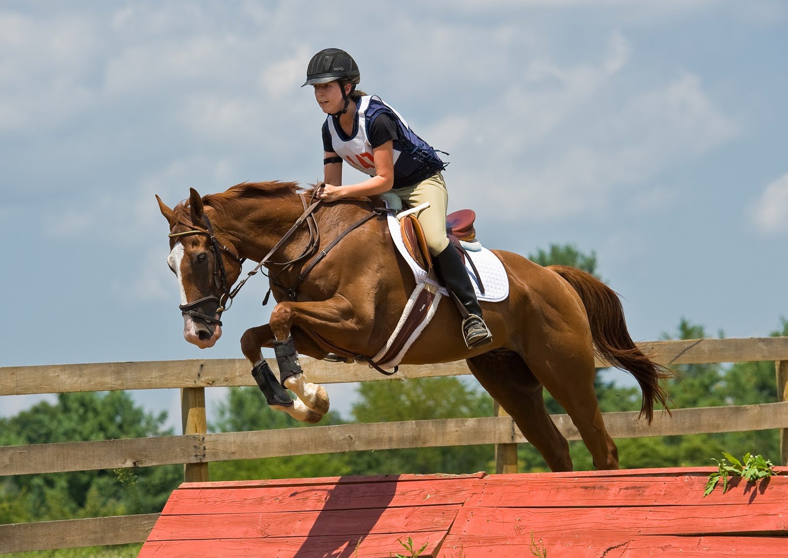 Show Jumping Wallpapers