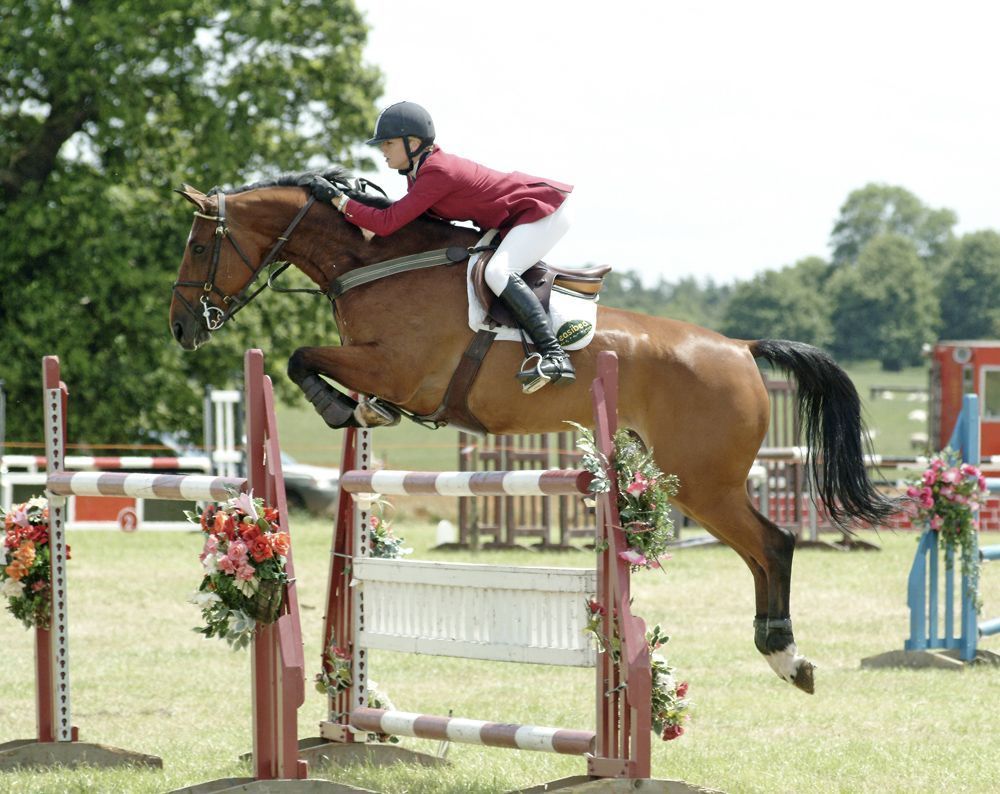 Show Jumping Wallpapers