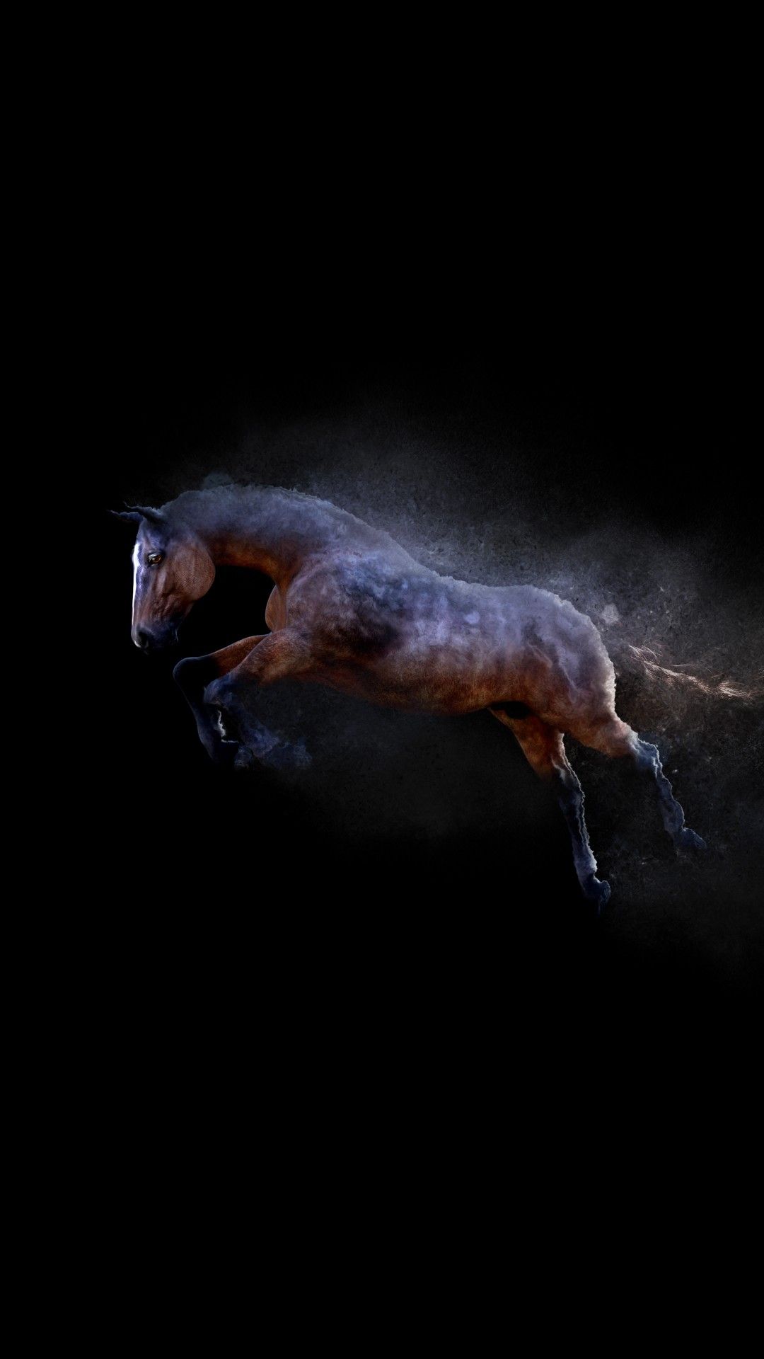 Show Jumping Wallpapers