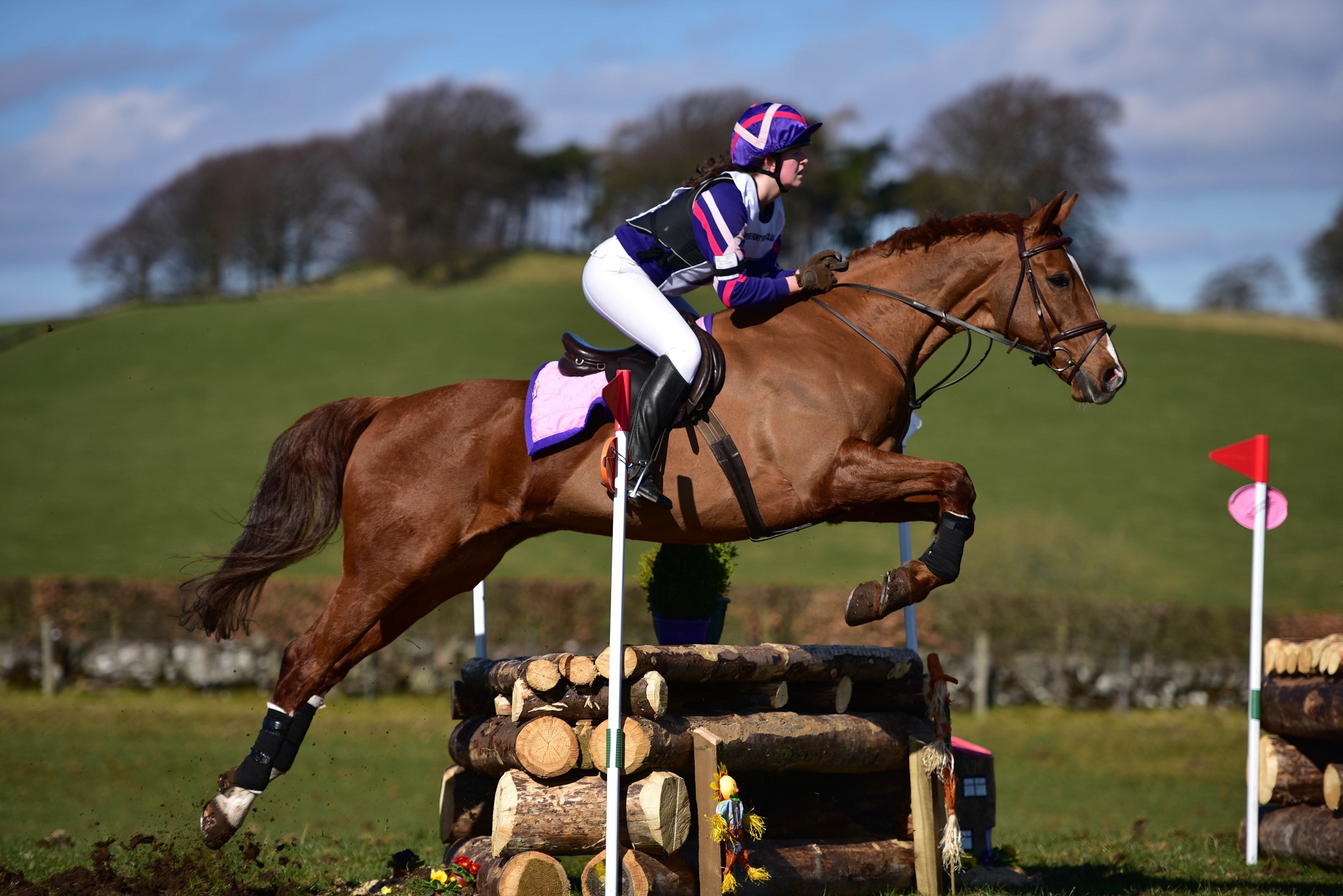 Show Jumping Wallpapers