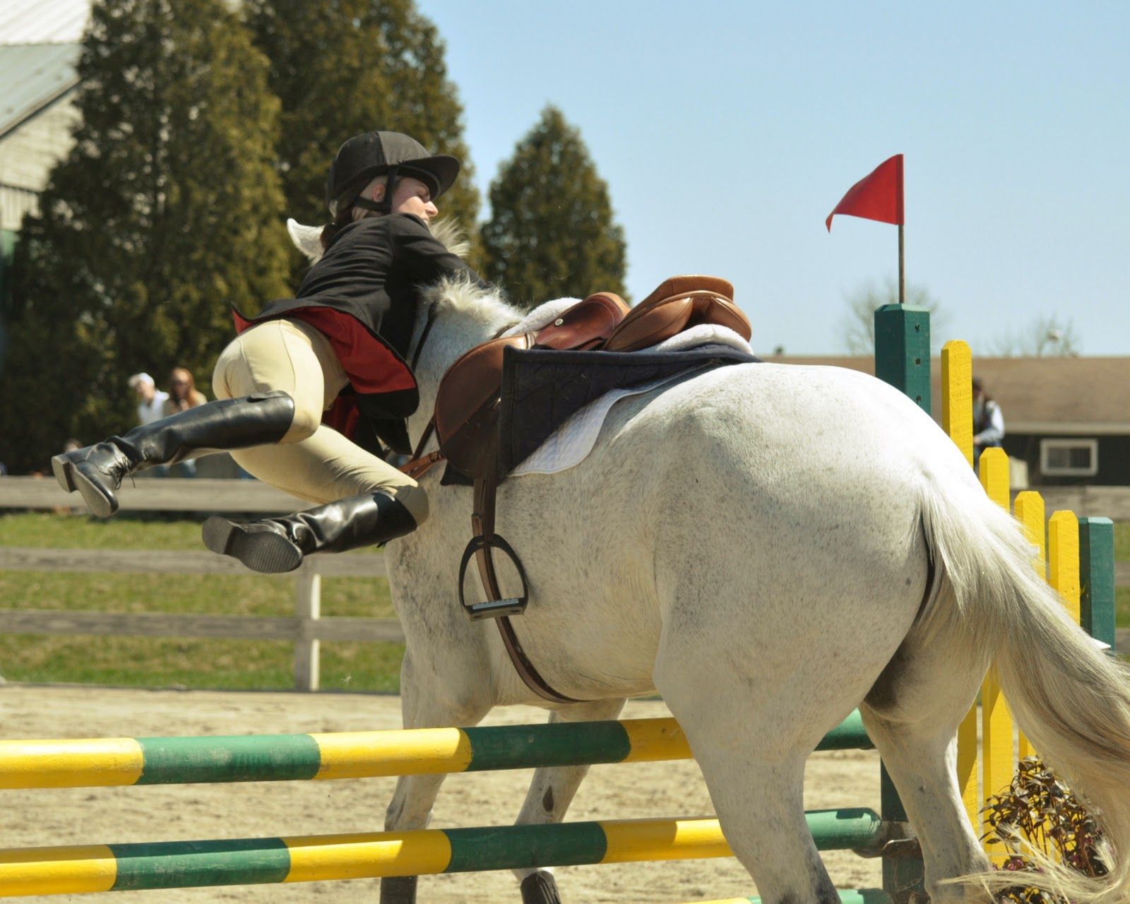 Show Jumping Wallpapers