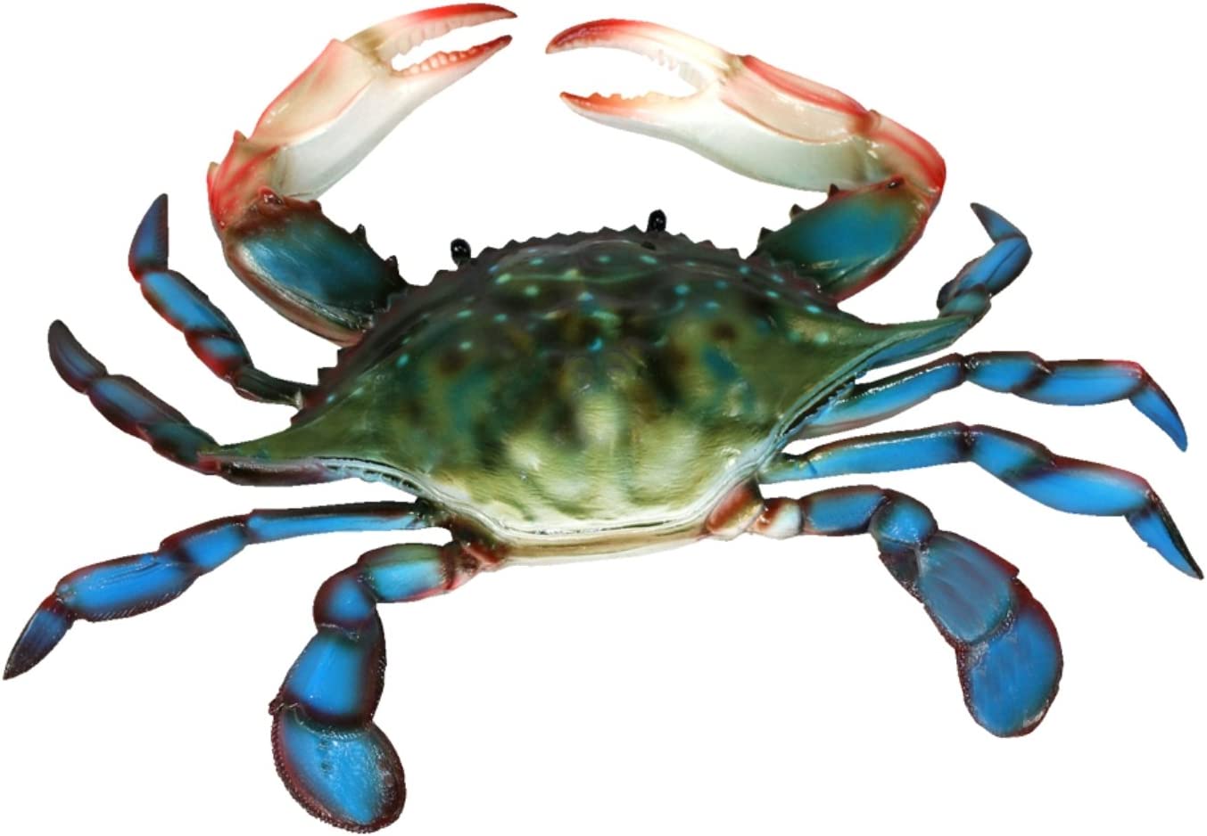 Southern Maryland Blue Crabs Wallpapers