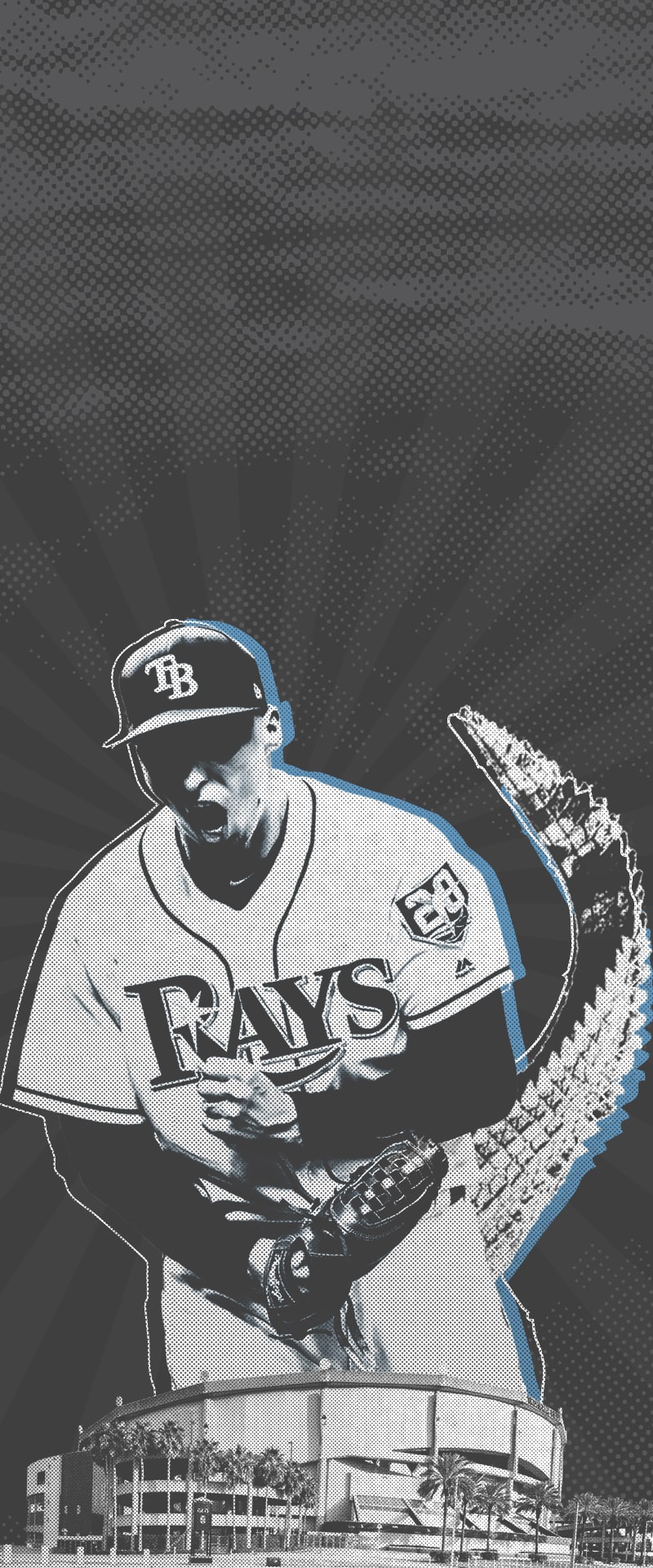 Tampa Bay Rays Wallpapers