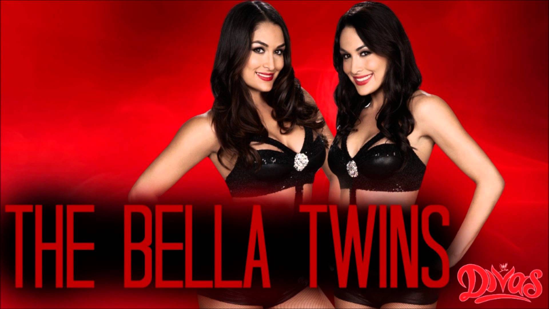 The Bella Twins Wallpapers