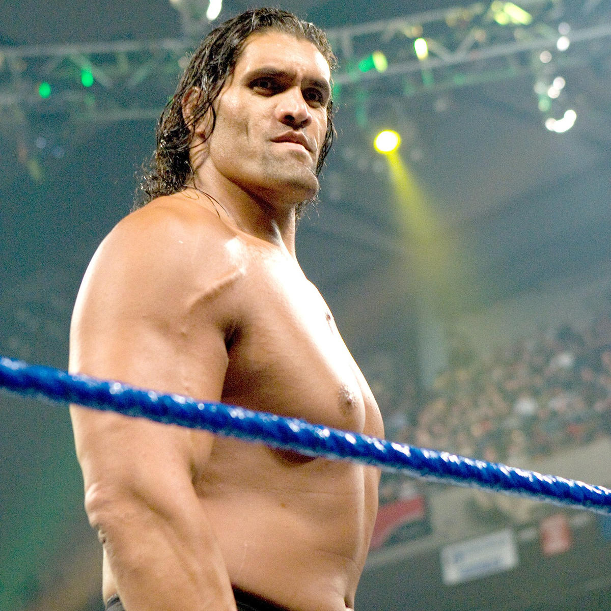 The Great Khali Wallpapers