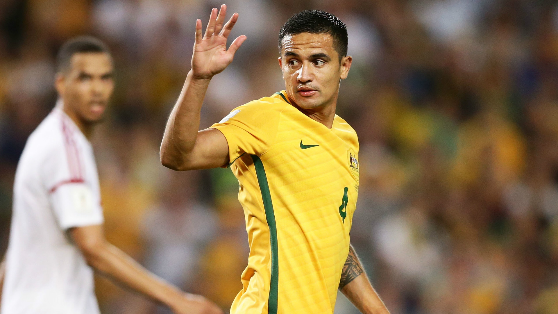 Tim Cahill Wallpapers