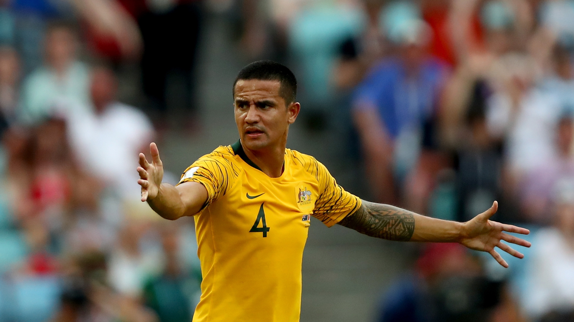 Tim Cahill Wallpapers