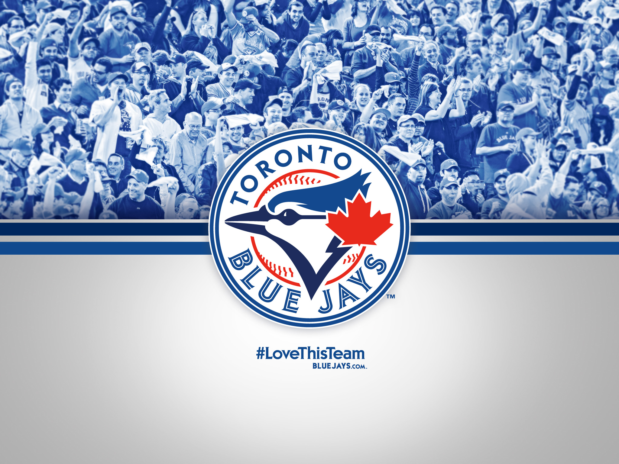 Toronto Blue Jays Wallpapers