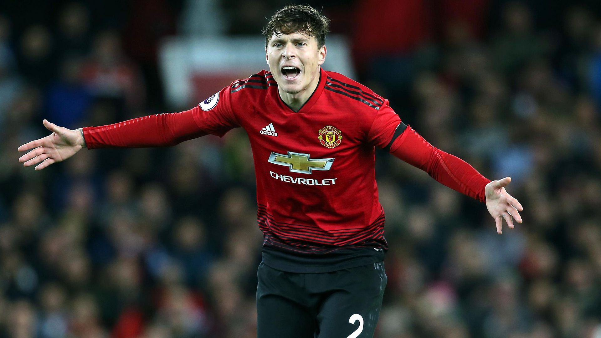 Victor LindeloF Wallpapers