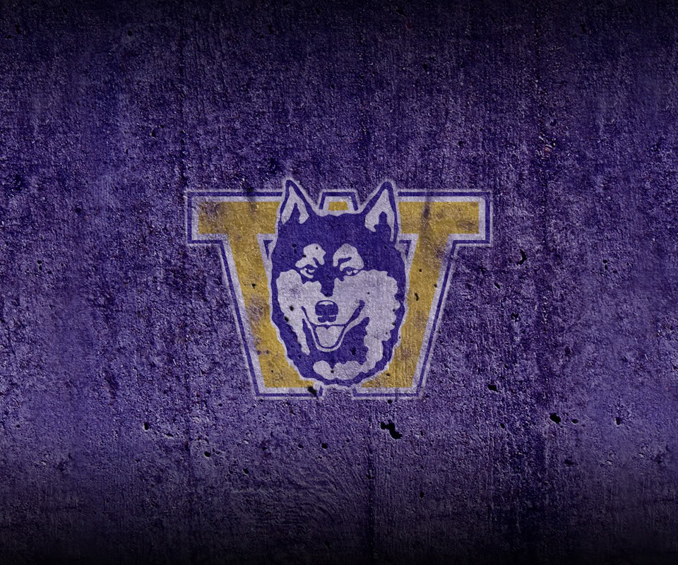 Washington Huskies Wallpapers