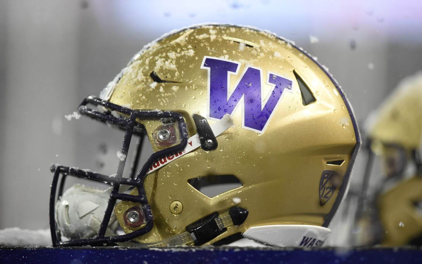 Washington Huskies Wallpapers