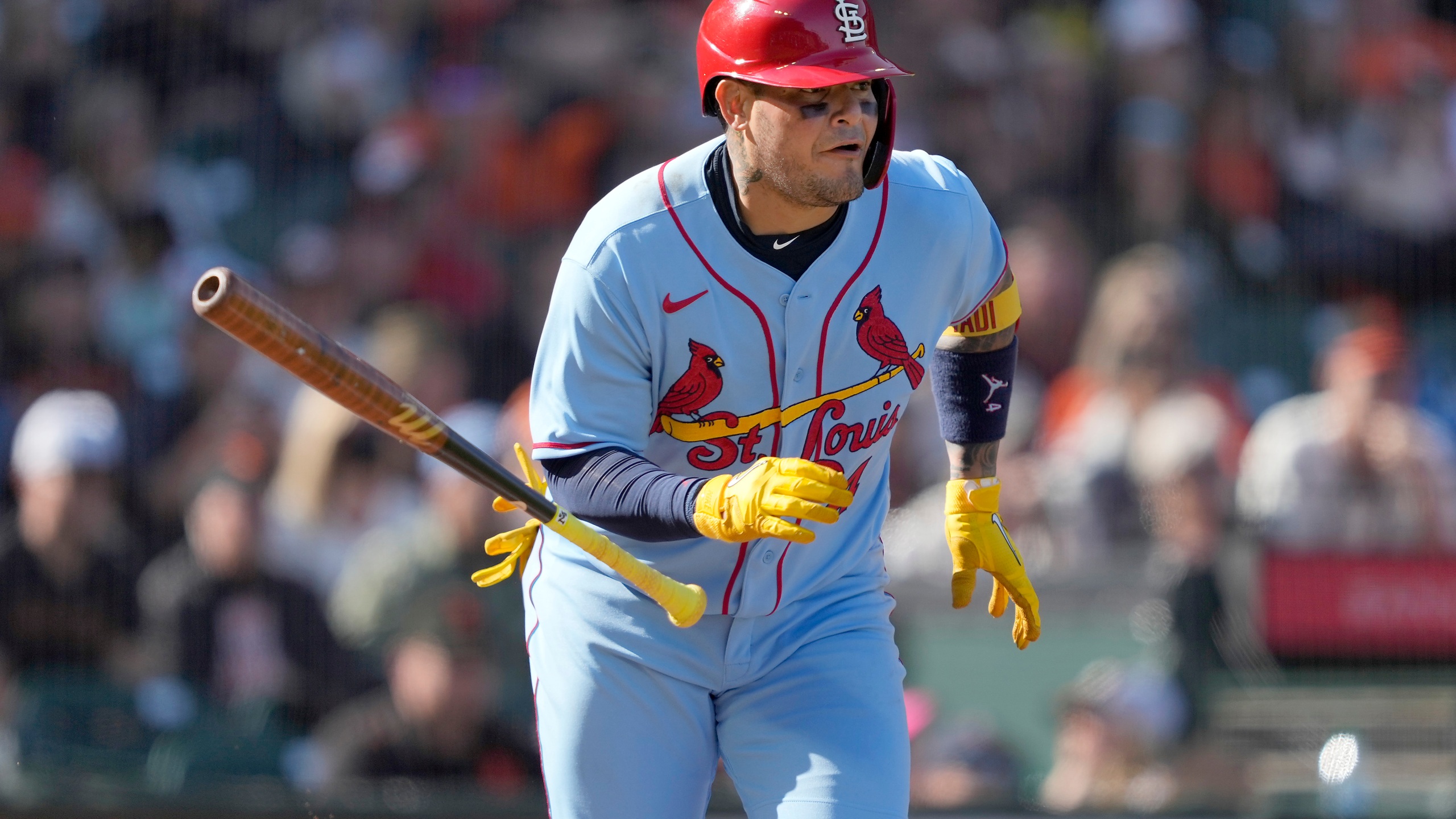 Yadier Molina Wallpapers