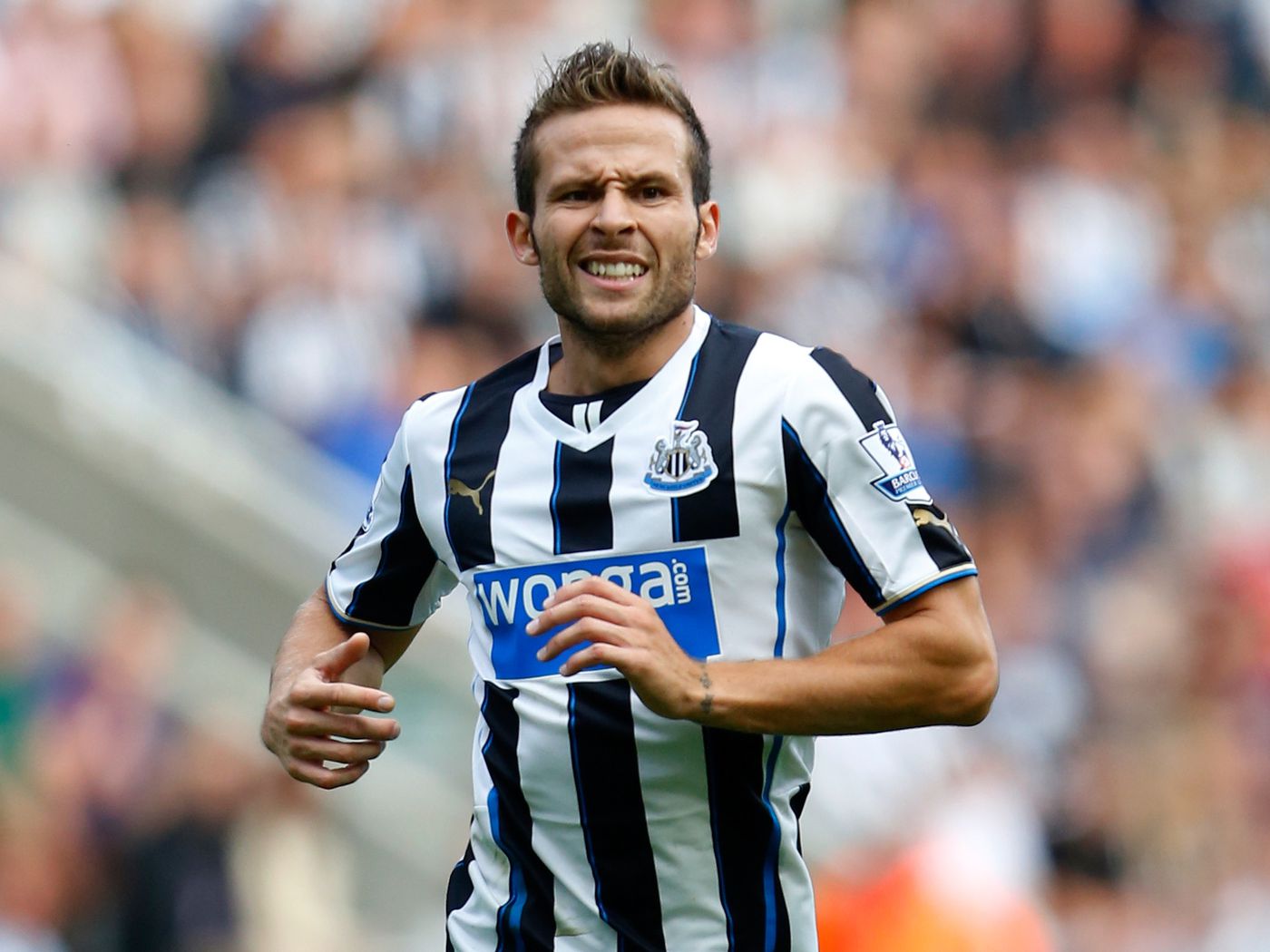 Yohan Cabaye Wallpapers