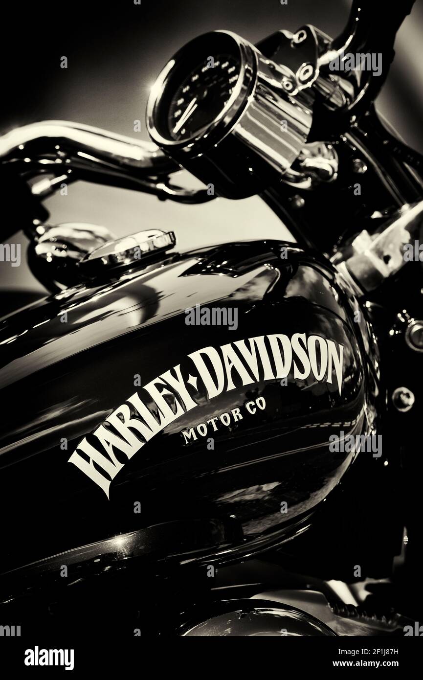 Harley Quinn In Motorcycle Wallpapers