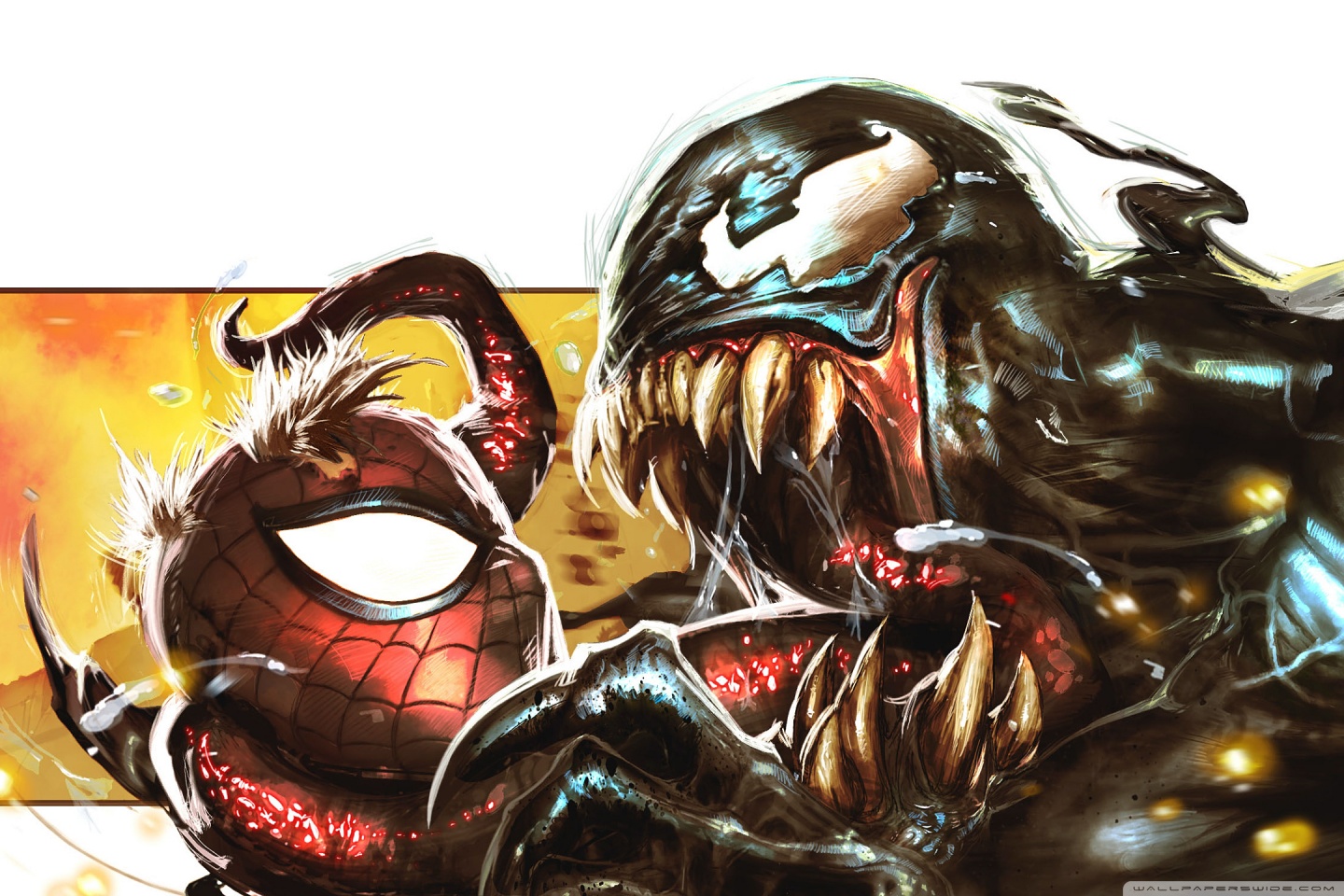 Spider Man X Venom Wallpapers