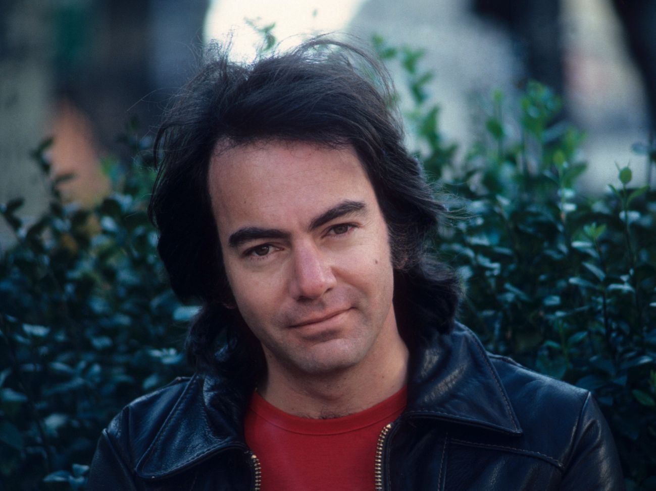 Neil Diamond Wallpapers