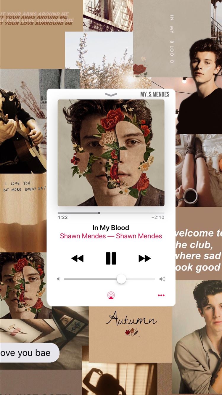 Shawn Mendes Wallpapers