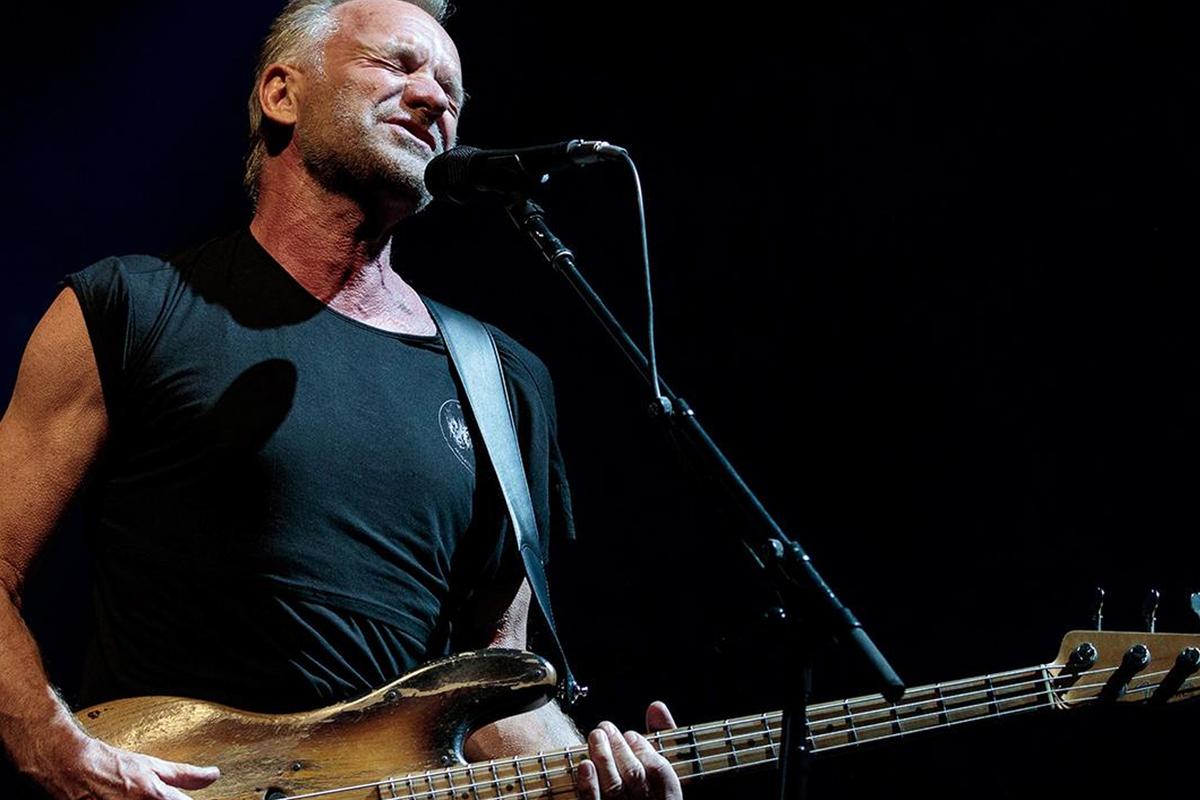 Sting Musician Wallpapers
