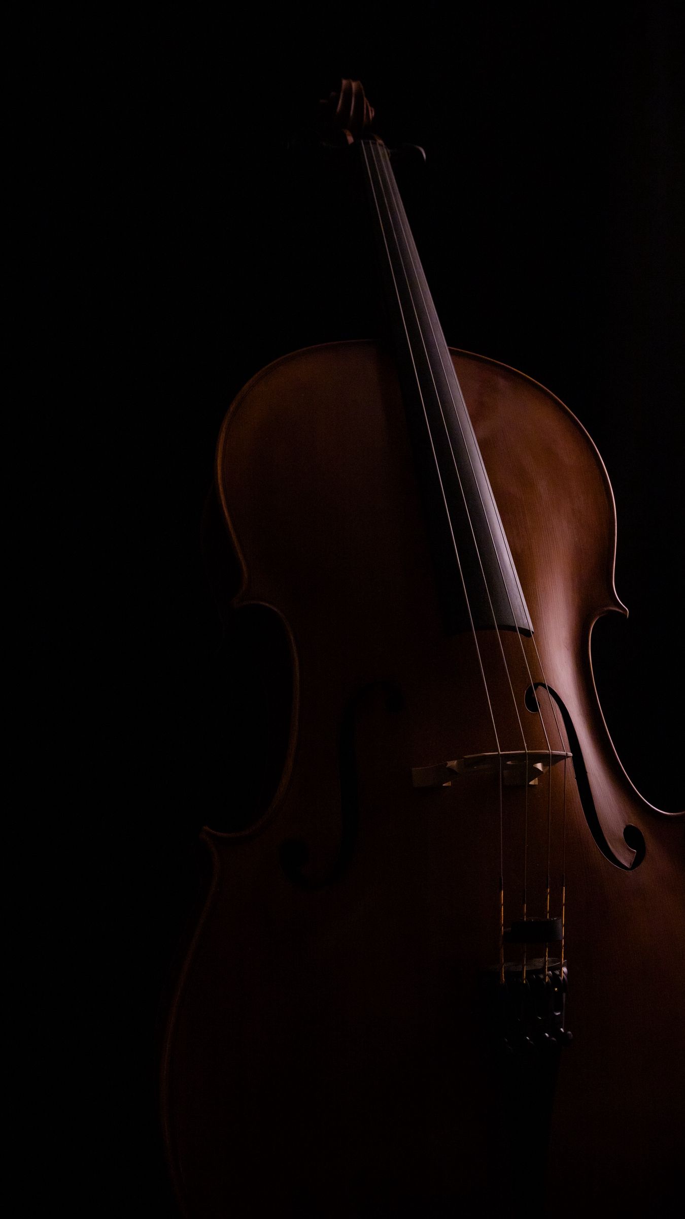 Cello Wallpapers