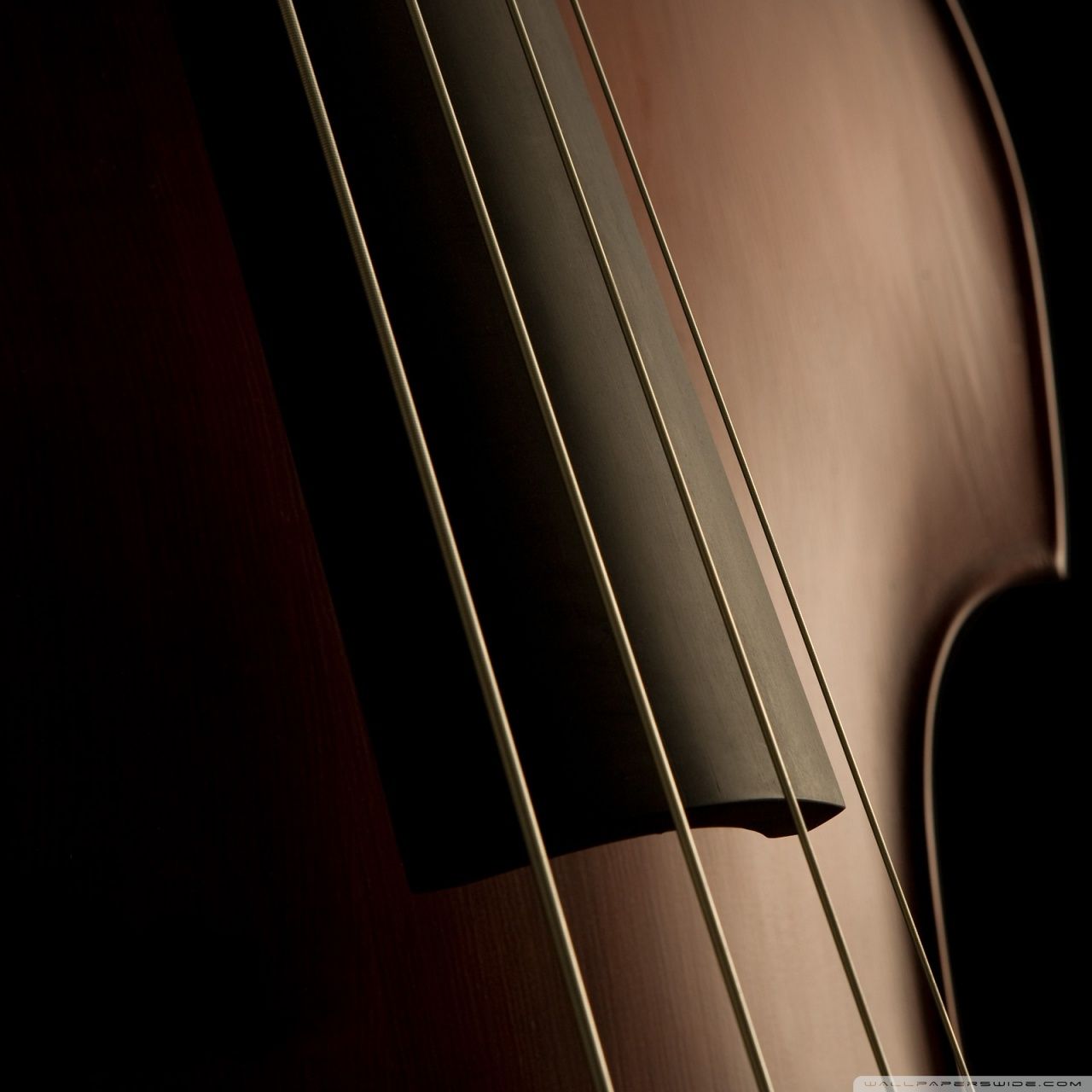 Double Bass Wallpapers