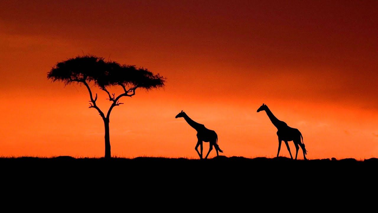 Music Of Africa Wallpapers