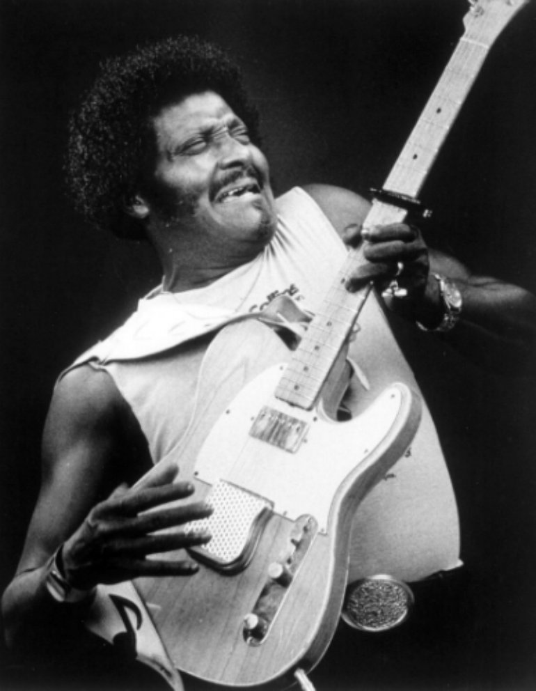 Albert Collins Wallpapers