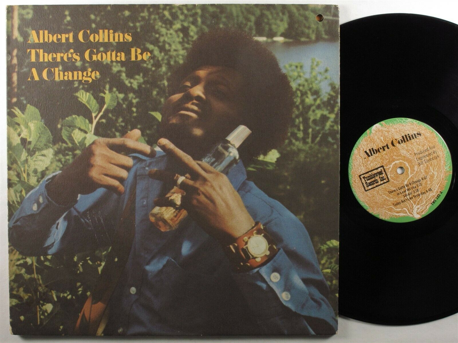 Albert Collins Wallpapers