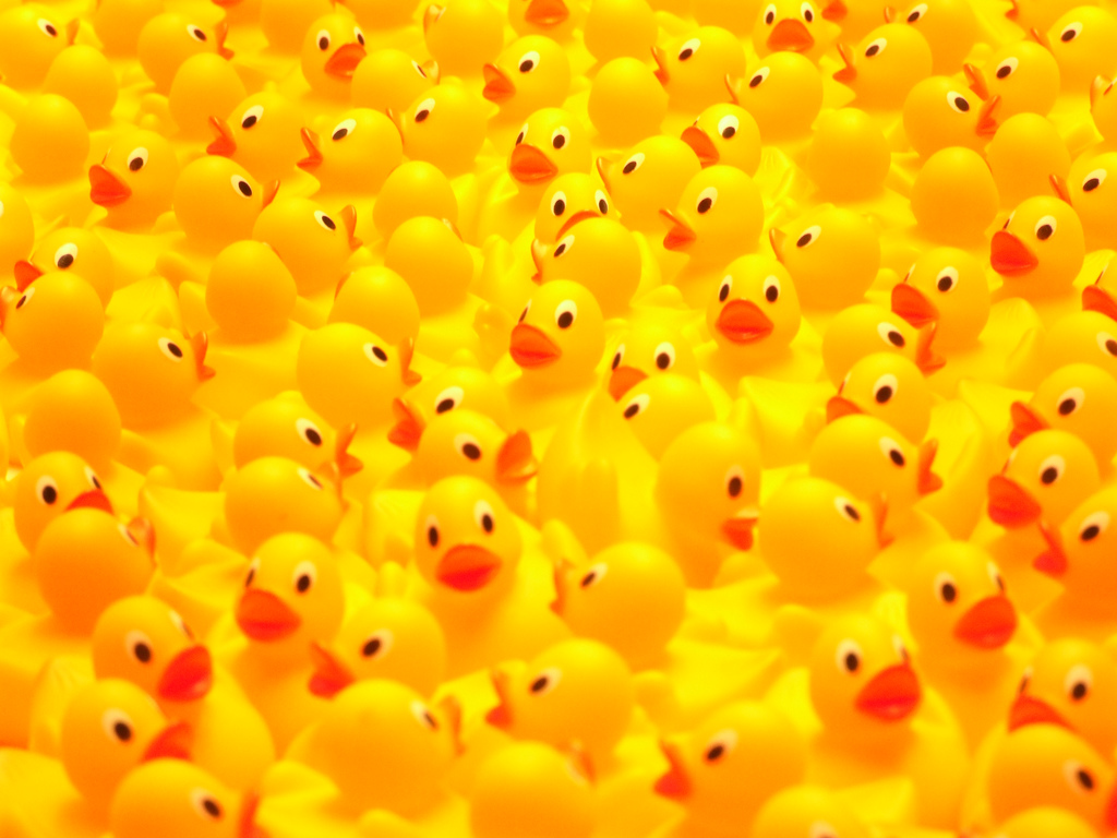 Ducky Wallpapers