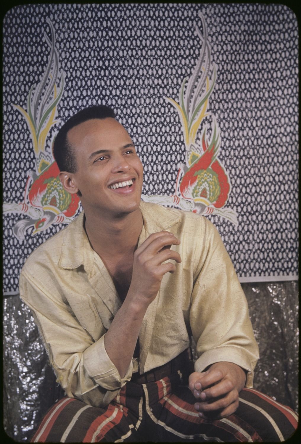 Harry Belafonte Wallpapers