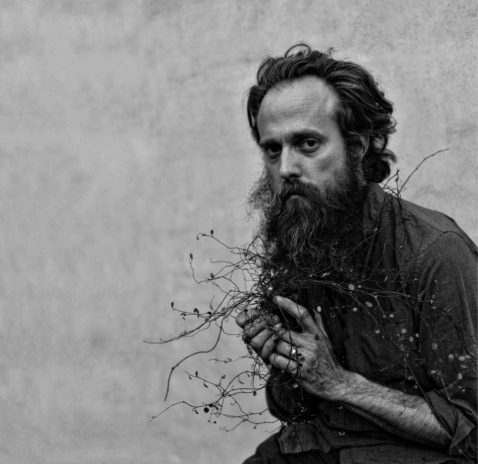 Iron And Wine Wallpapers