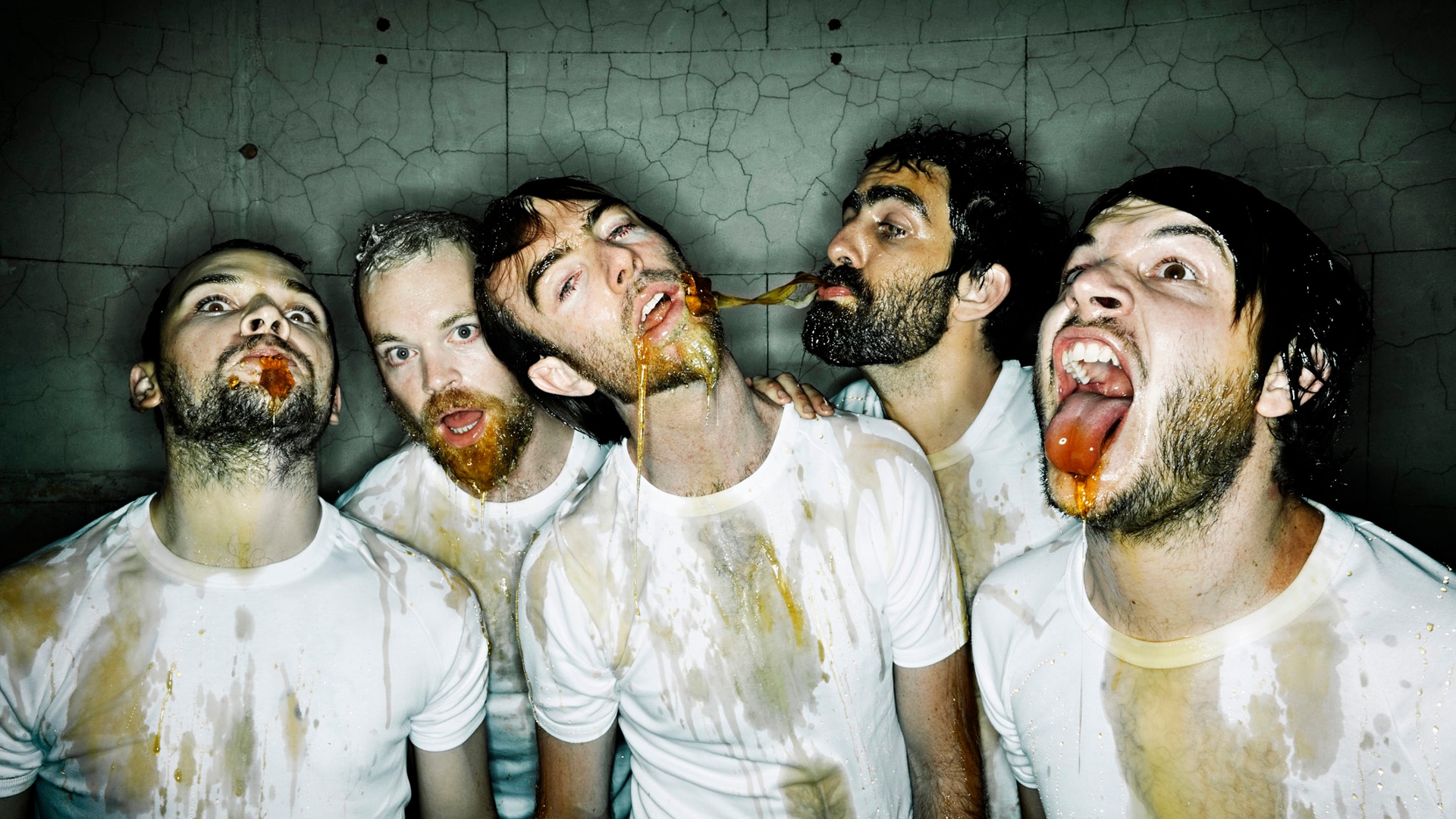 Karnivool Wallpapers