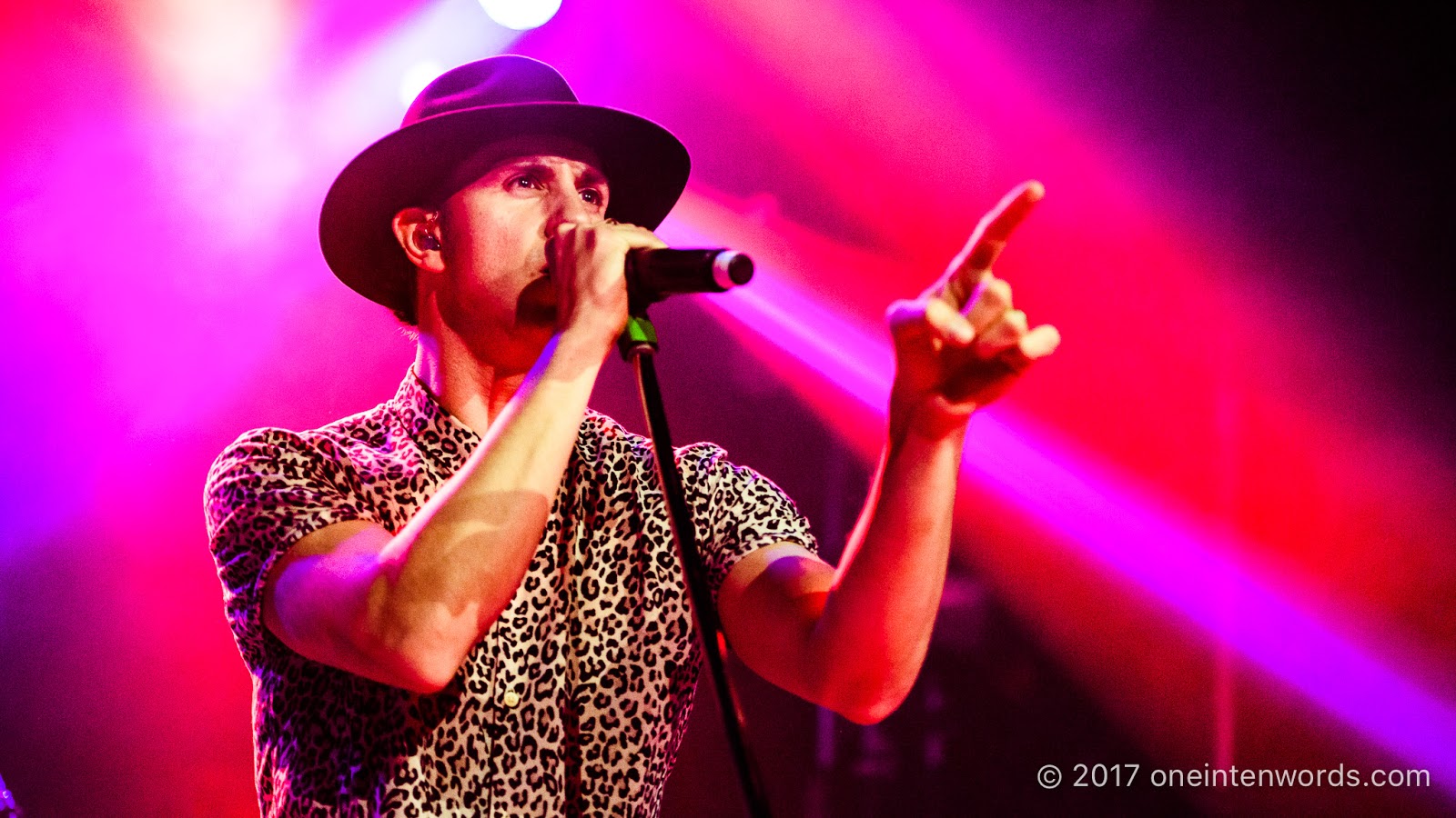 Maximo Park Wallpapers