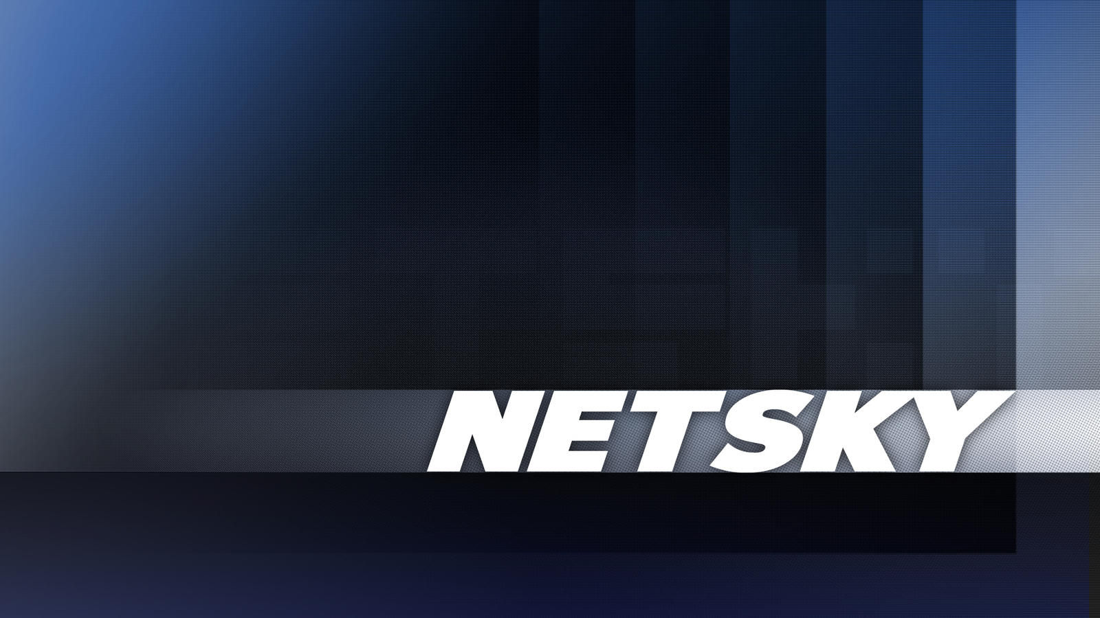 Netsky Wallpapers