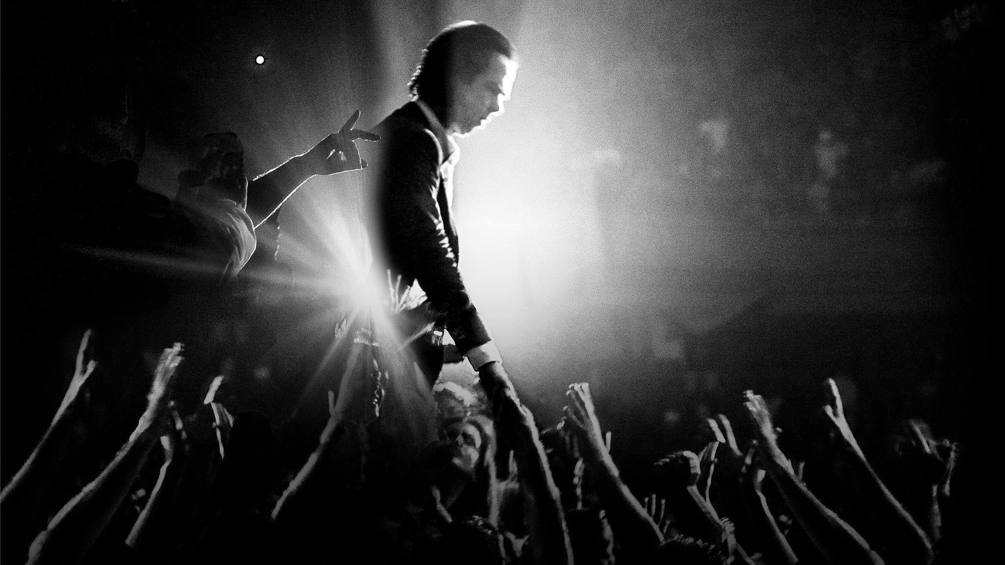 Nick Cave Wallpapers