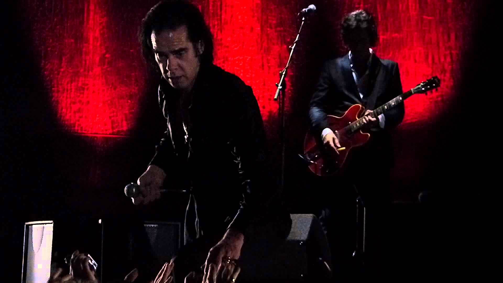 Nick Cave Wallpapers