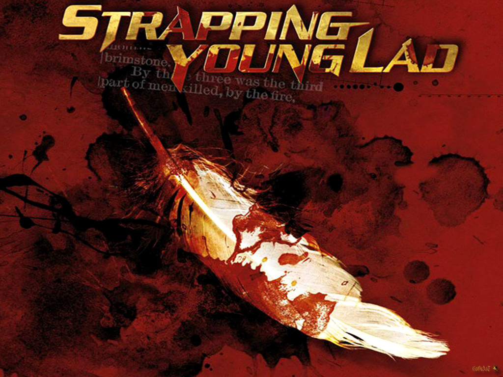 Strapping Young Lad Wallpapers