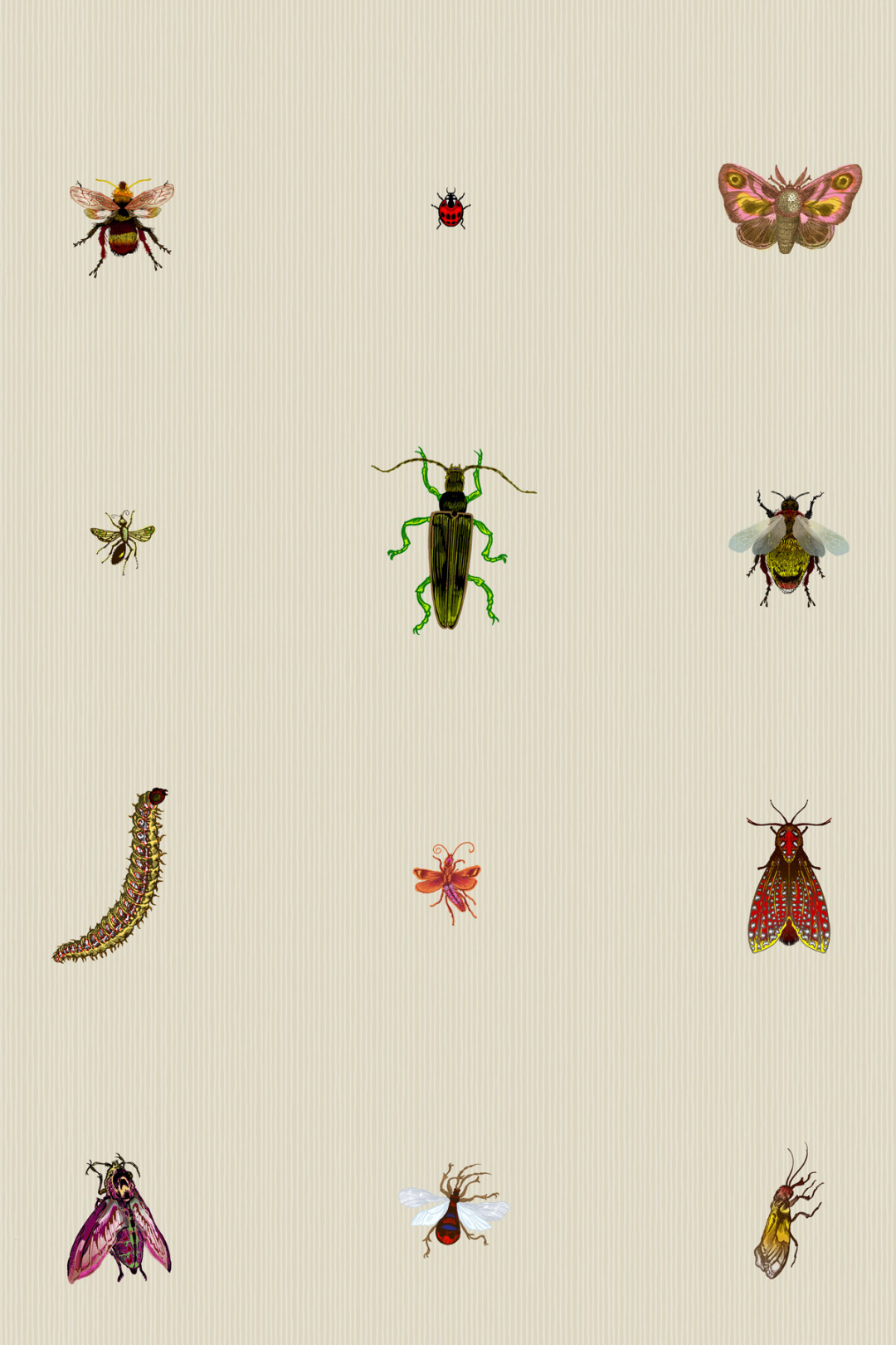 The Bug Wallpapers