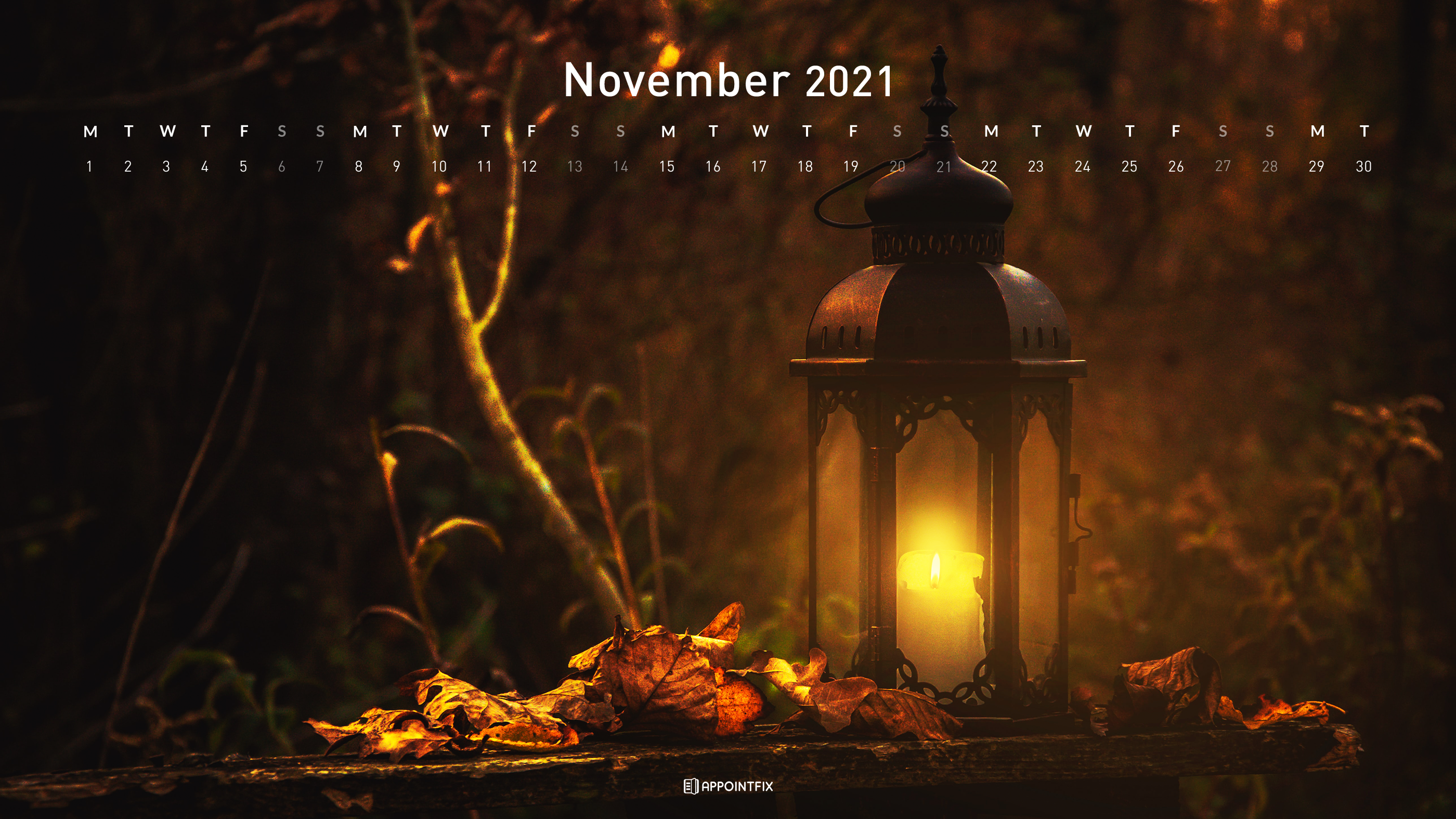 The Early November Wallpapers