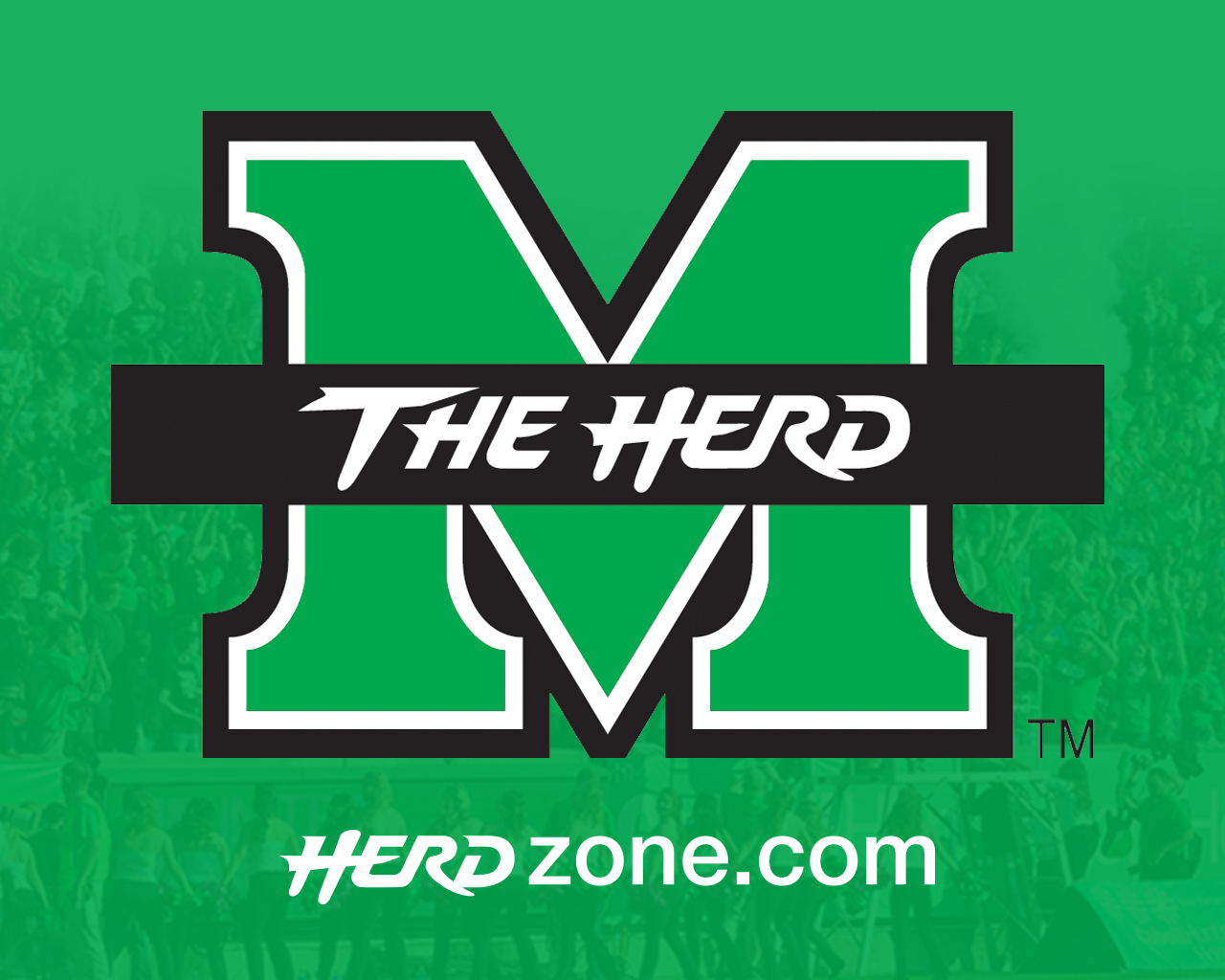 The Herd Wallpapers