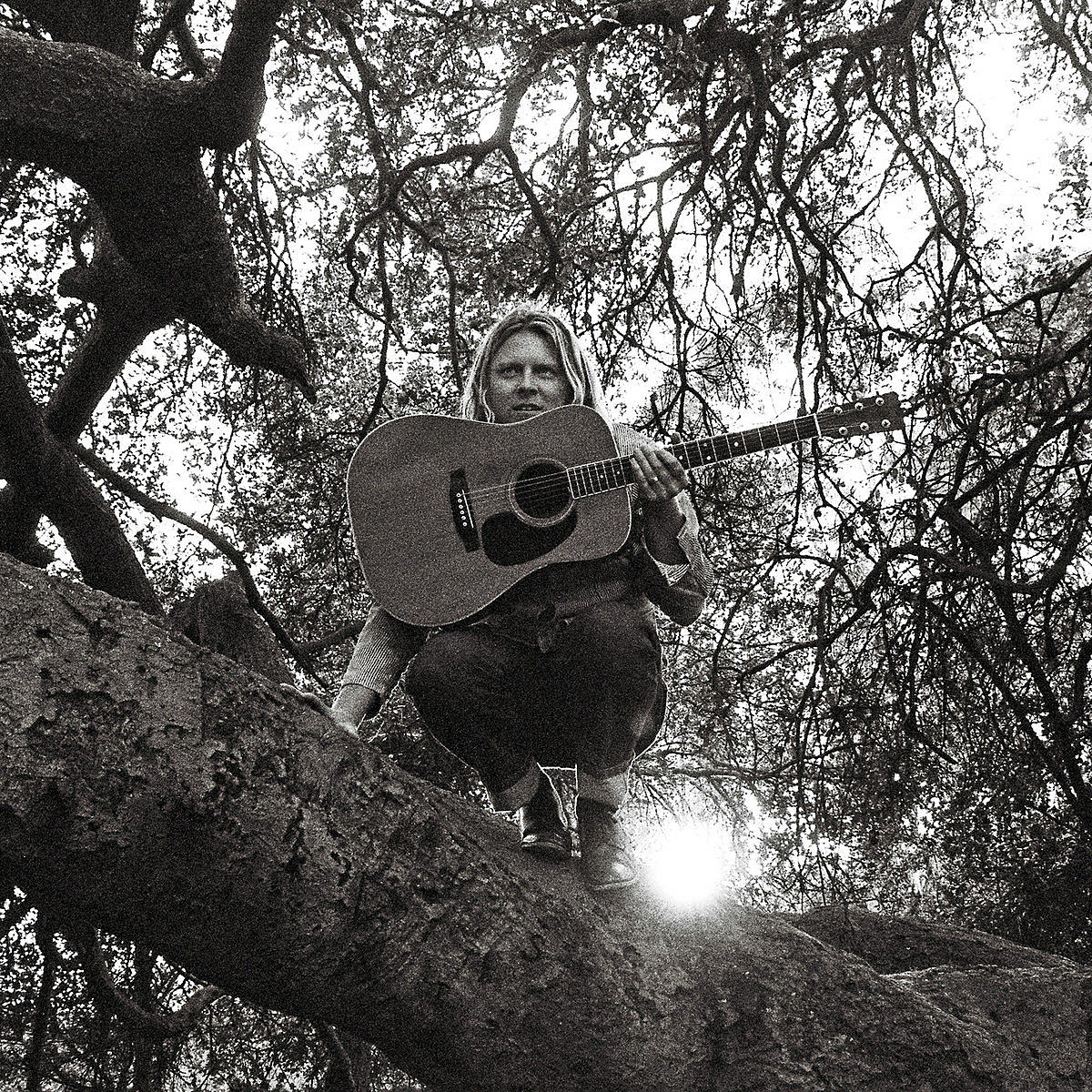 Ty Segall & White Fence Wallpapers