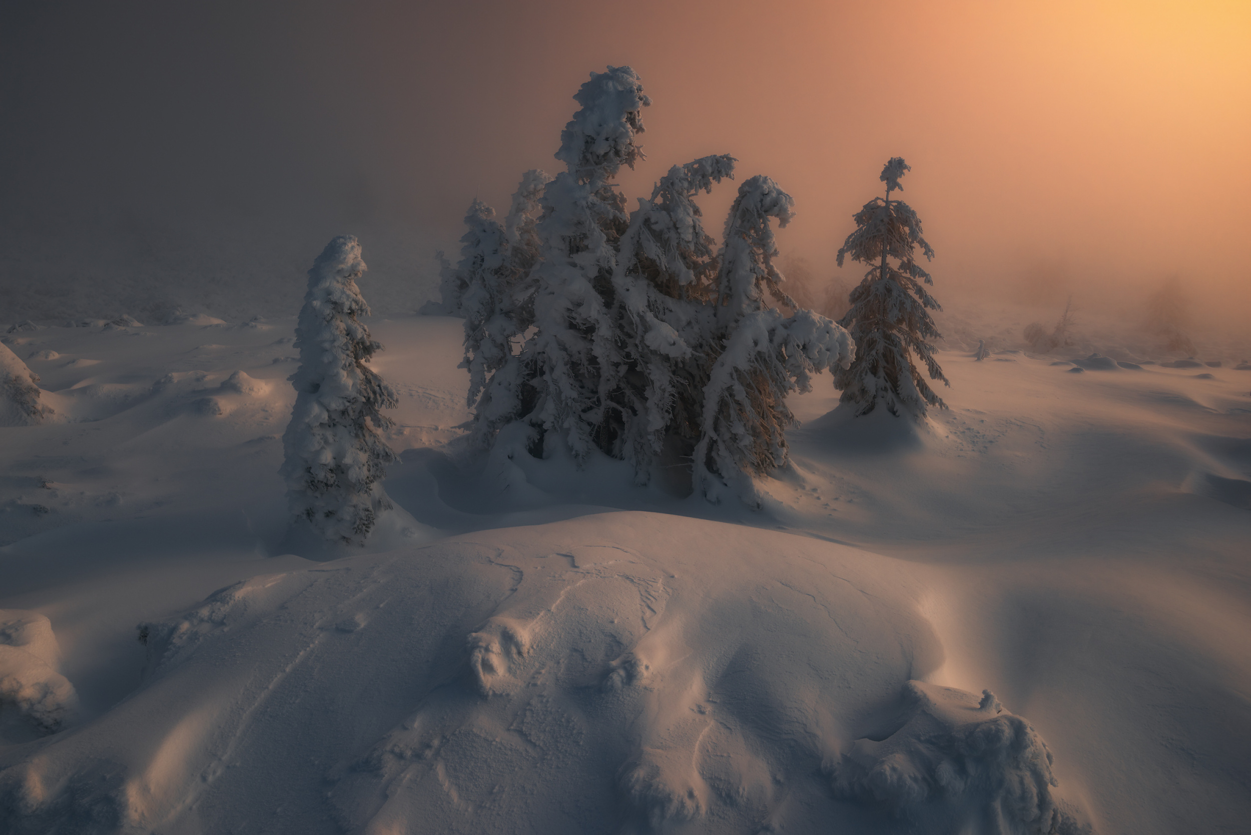 Winter\'S Verge Wallpapers