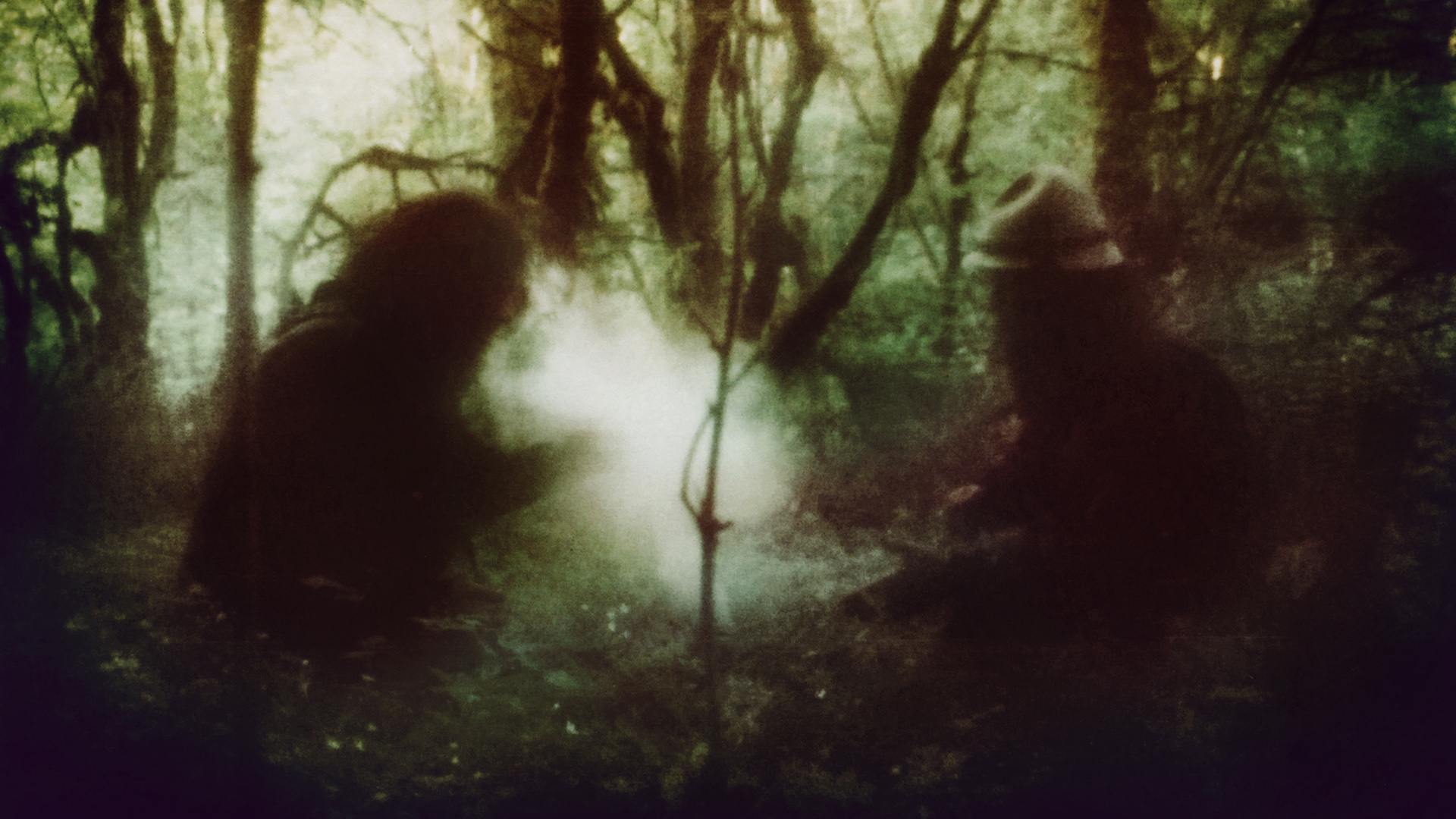 Wolves In The Throne Room Wallpapers
