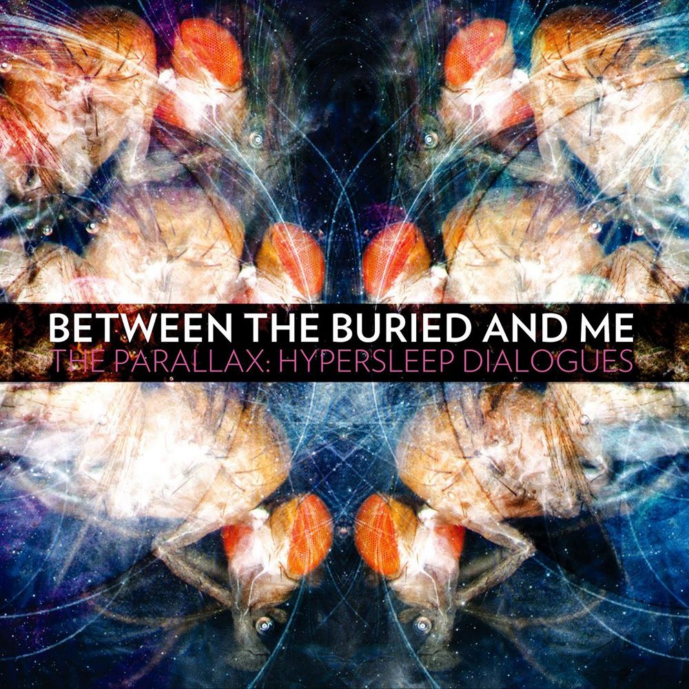 Between The Buried And Me Wallpapers