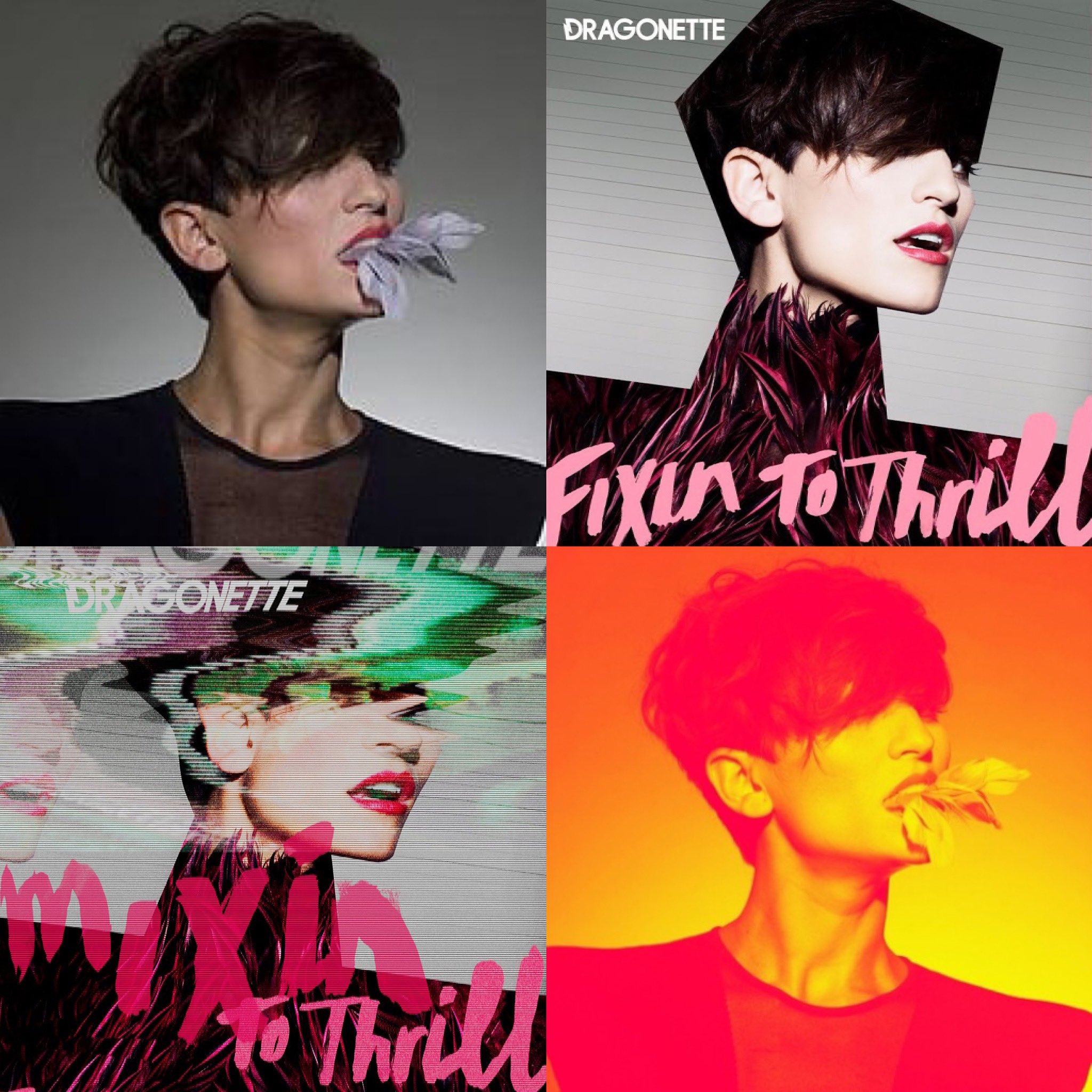 Dragonette Wallpapers